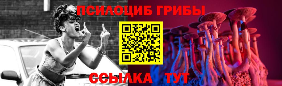 Псилоцибиновые грибы Psilocybe  Вход с VPN  Псилоцибиновые грибы Psilocybe  Апрелевка 